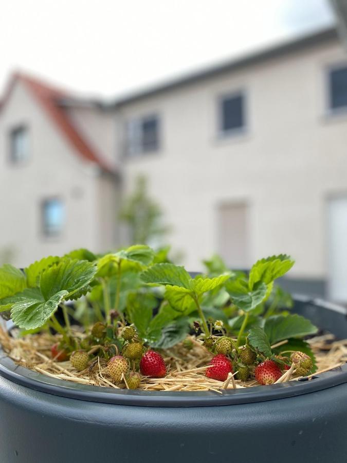 Apartament Fewo Sulzer Siedlung Erfurt "Haus 6" Zewnętrze zdjęcie